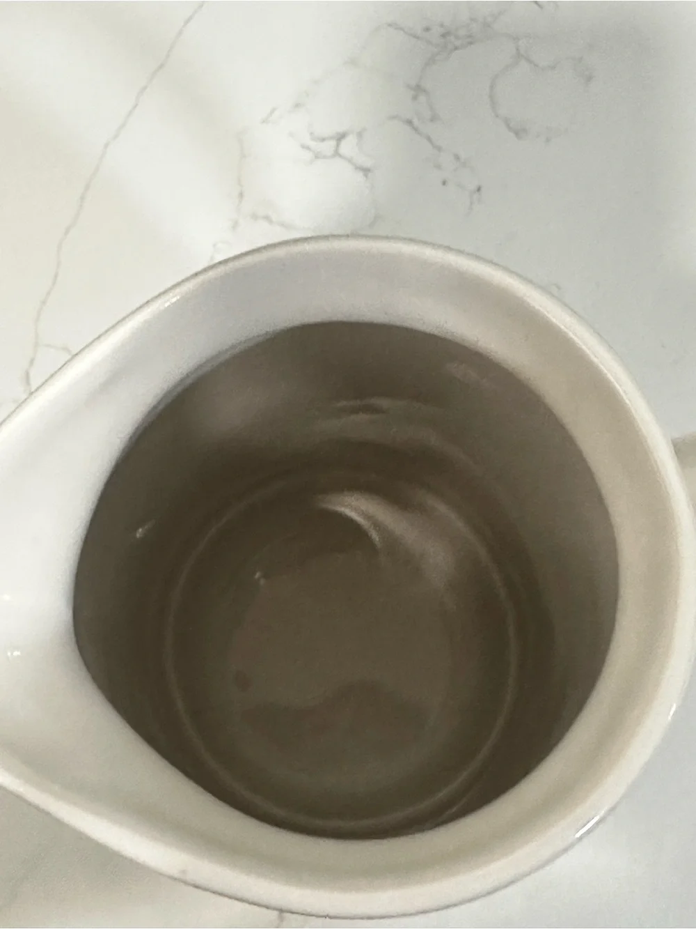 New Rae Dunn DRINK Pitcher 9